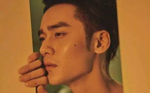 李易峰娱乐圈吃瓜事件,揭秘明星背后的真相与争议